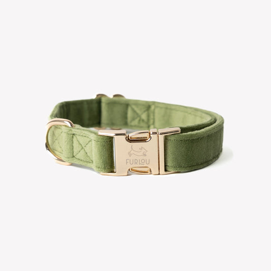 FURLOU Velvet Dog Collar in Olive Green with a Stylish Gold Buckle