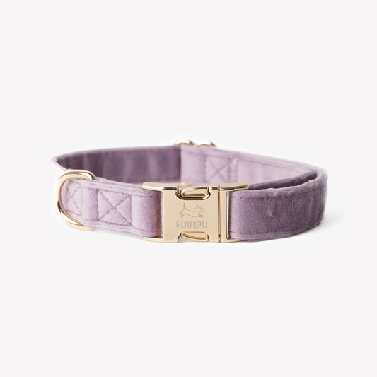 FURLOU Velvet Dog Collar in Lavender with a Gold Buckle for Stylish Pets