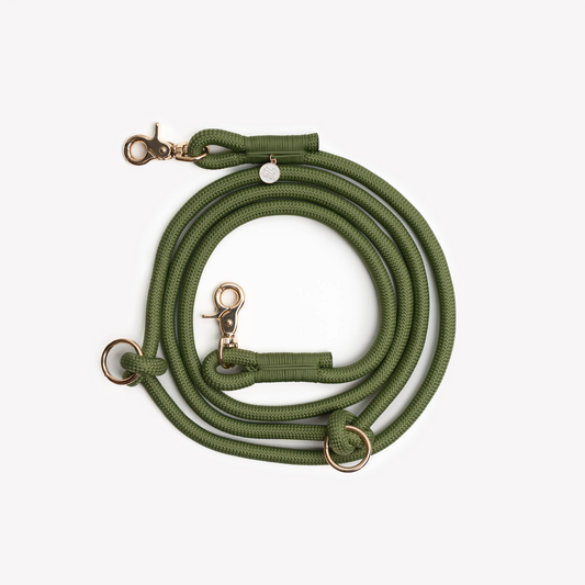 FURLOU - Green' - Hands Free Braided Leash - Dog Leashes
