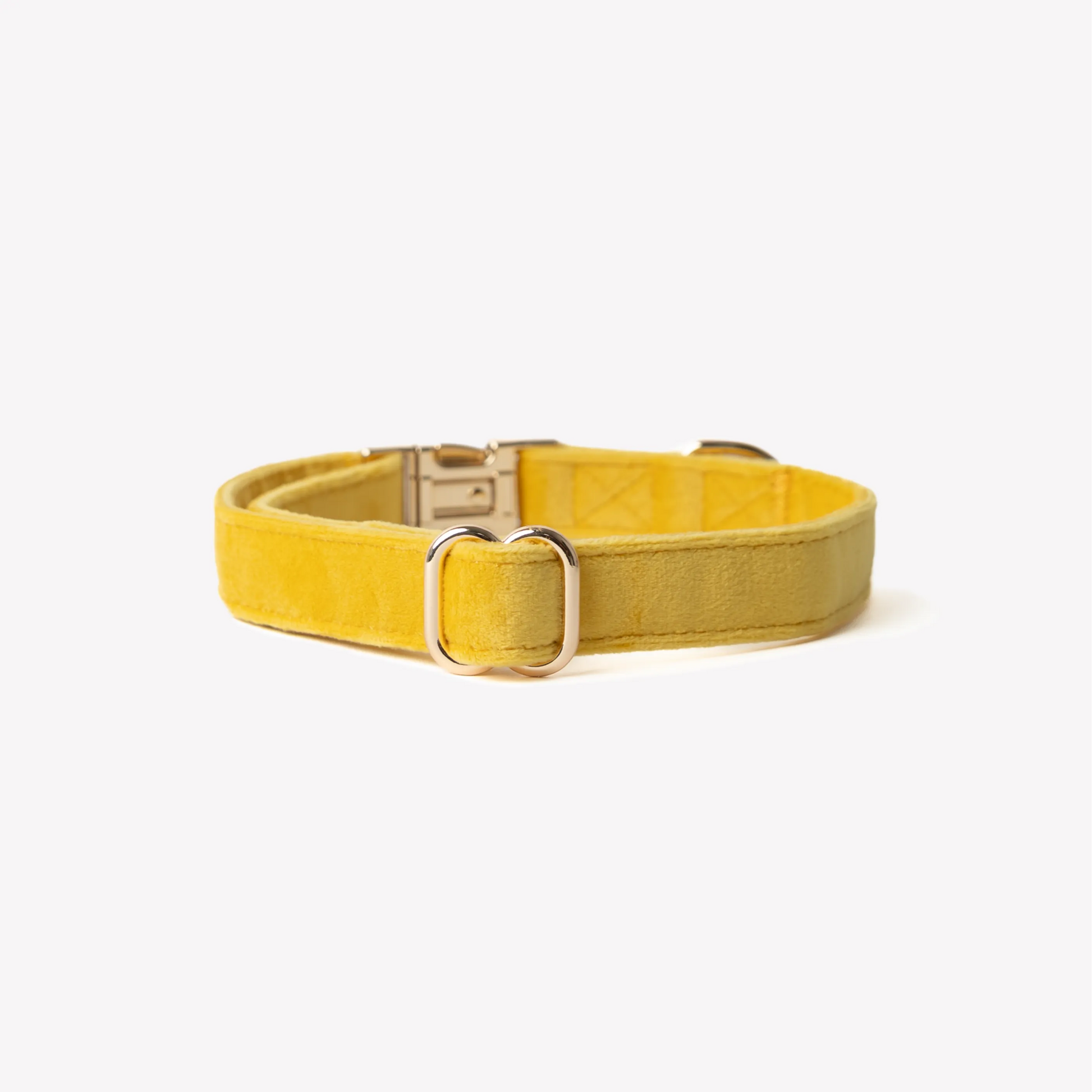 FURLOU - Yellow - Velvet Dog Collar - Velvet Collar