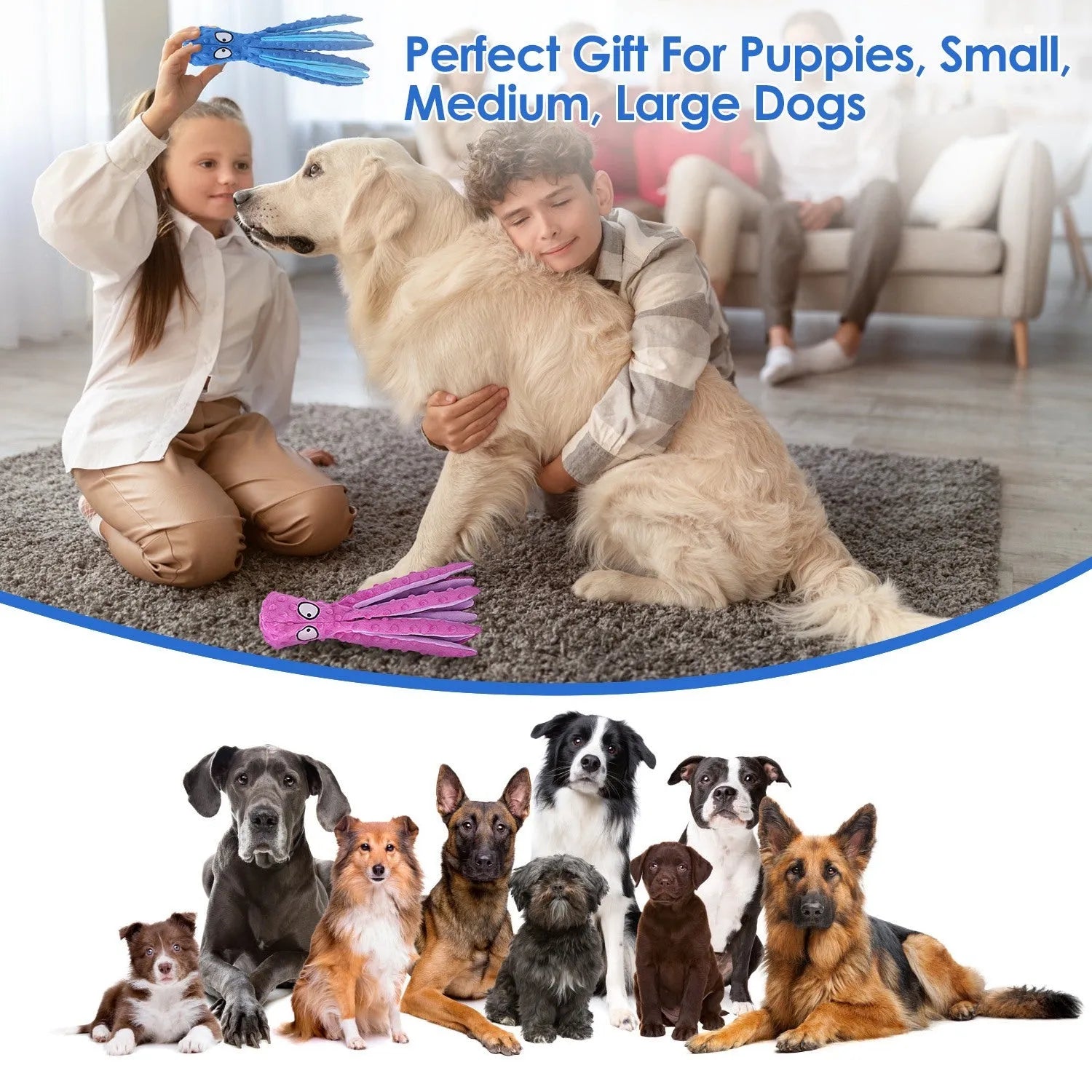 GBruno 2Pcs Squeaky Dog Toys in Blue and Pink, perfect for playful dogs, from GBruno Store, ideal for interactive fun.