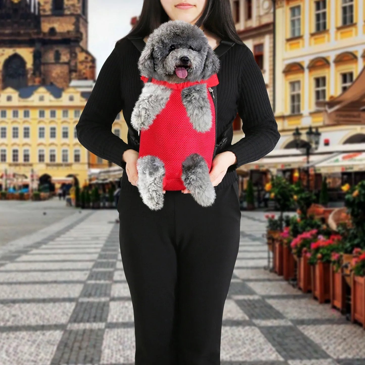 GBruno Dog Carrier Backpack in stylish design, perfect for small dogs, available at GBruno Store for $22.99.