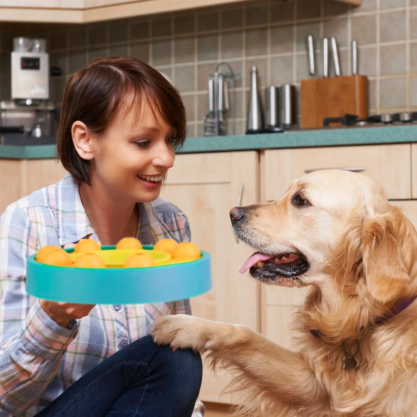GBruno Dog Puzzle Food Feeder in vibrant colors, perfect for engaging your dog during mealtime, priced at $35.99.