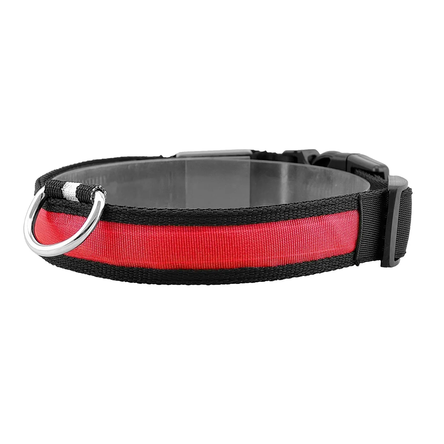 GBruno LED Dog Collar USB in vibrant color, perfect for nighttime walks, available for $18.99 at GBruno Store.