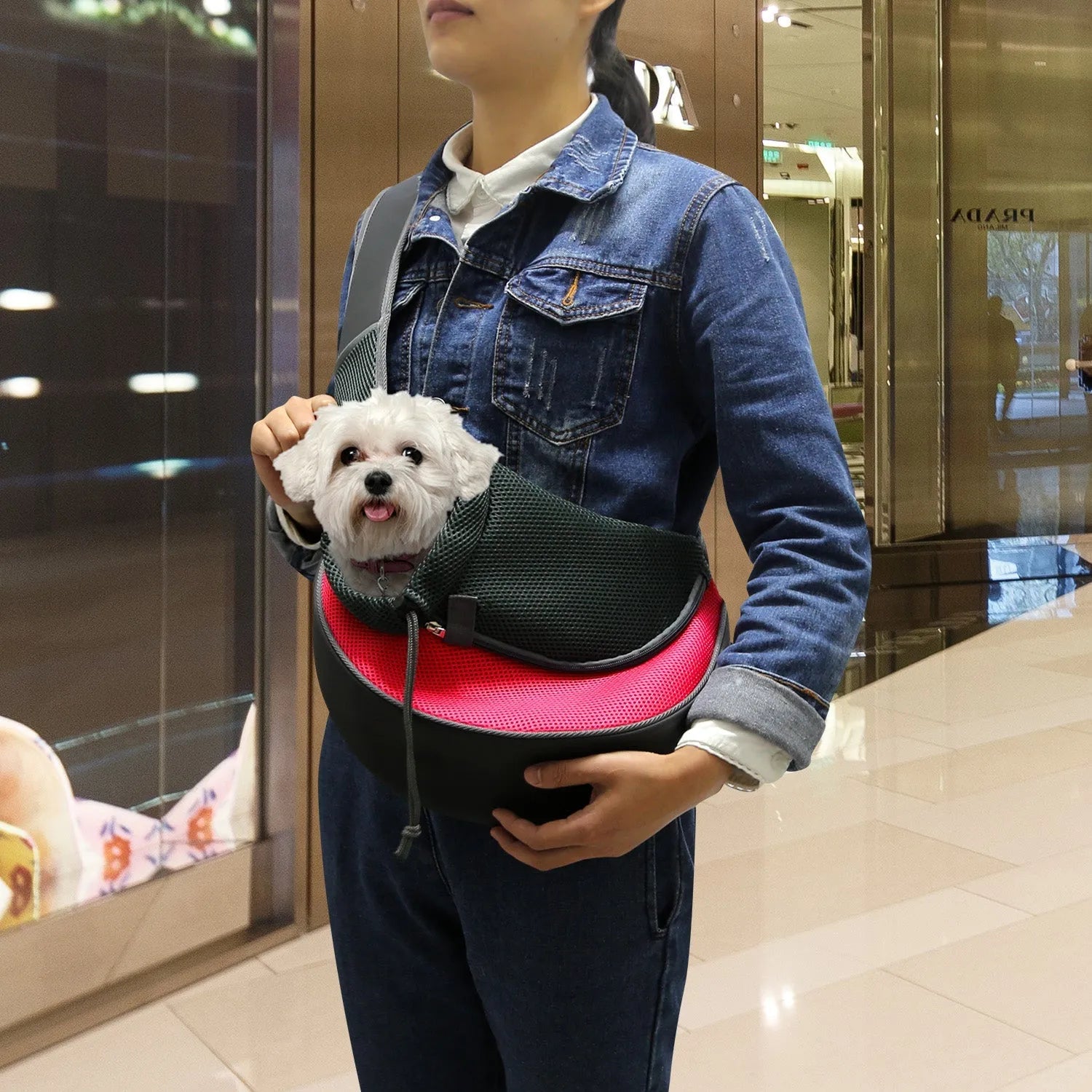 GBruno Pet Carrier for Dogs Cats by GBruno Store, stylish design in [color], perfect for travel, priced at $31.99.