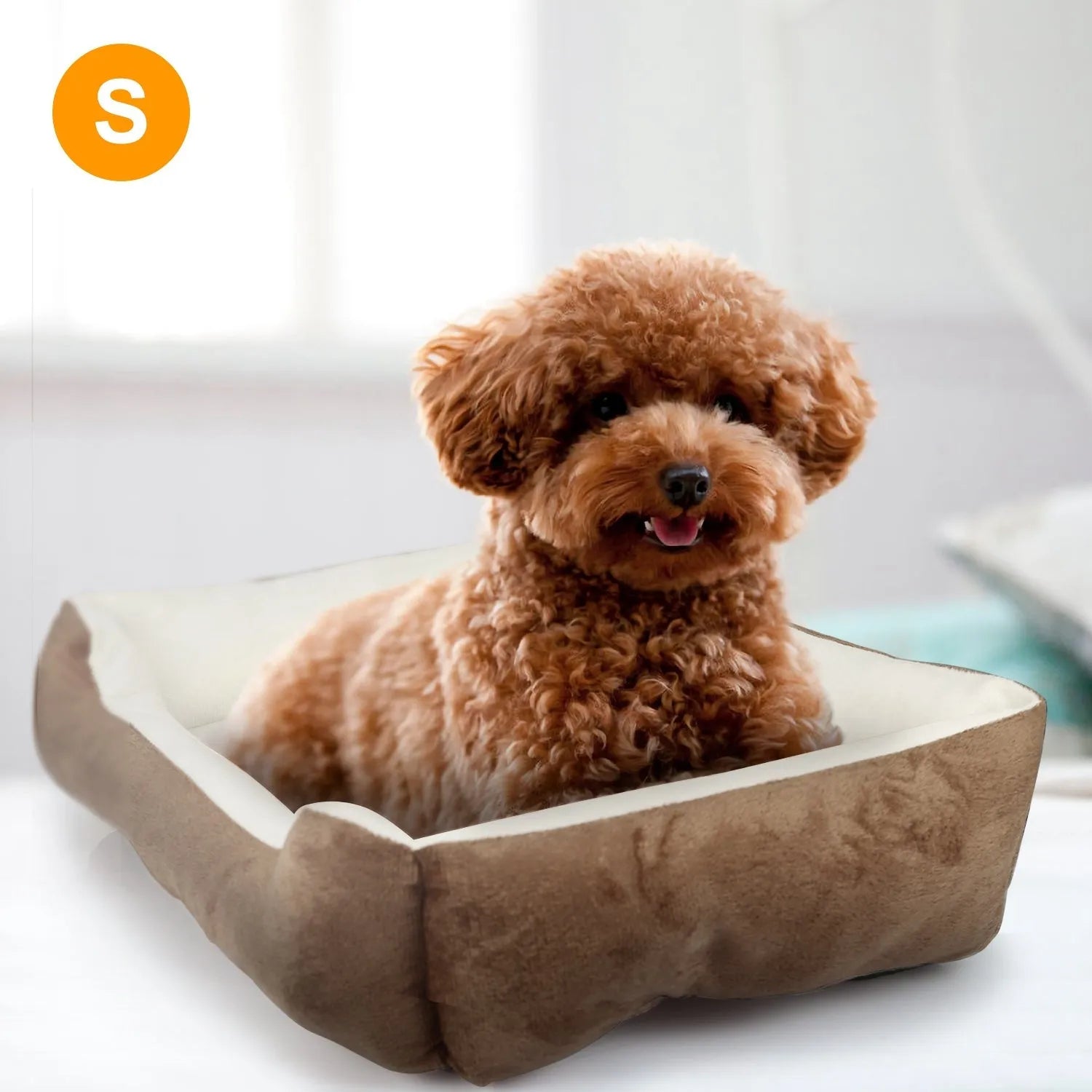 Cozy GBruno Pet Dog Bed in soft gray, perfect for dogs and cats, priced at $46.99 from GBruno Store.