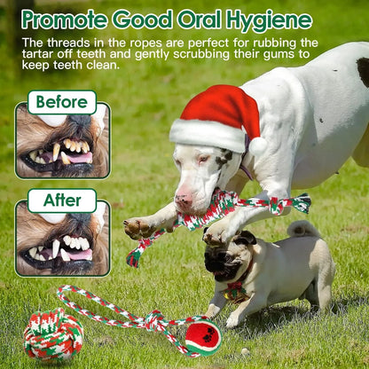 GBruno Store - 5Pcs Christmas Dog Rope Chew Toys Dog Interactive Toys Set - Dog Toys