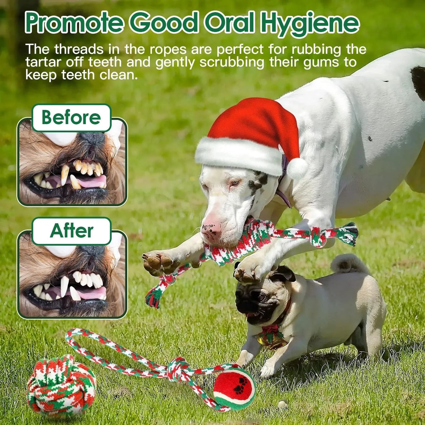 GBruno Store - 5Pcs Christmas Dog Rope Chew Toys Dog Interactive Toys Set - Dog Toys