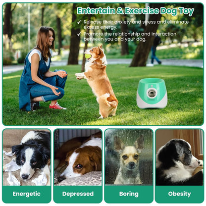 GBruno Store - Automatic Dog Ball Launcher Included 6 Tennis Balls Dog With