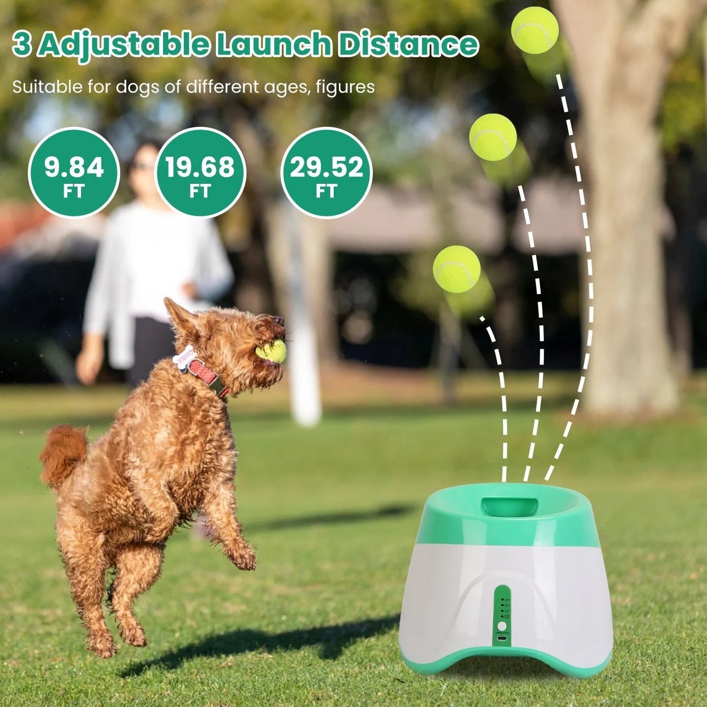 GBruno Store - Automatic Dog Ball Launcher Included 6 Tennis Balls Dog With