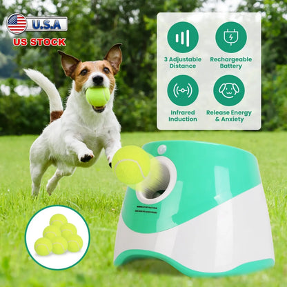 GBruno Store - Automatic Dog Ball Launcher Included 6 Tennis Balls Dog With