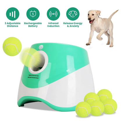 GBruno Store - Automatic Dog Ball Launcher Included 6 Tennis Balls Dog With