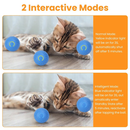 GBruno Store - Cat Toys Ball Fast Rolling in Pouch Rechargeable Motion - Cat Toys