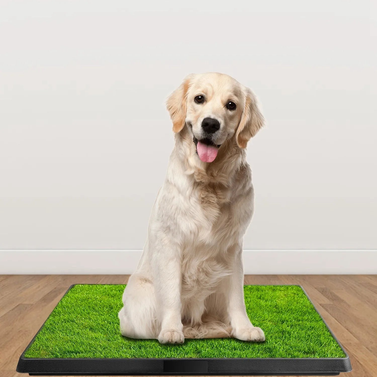 GBruno Store - Dog Potty Training Artificial Grass Pad Pet Cat Toilet