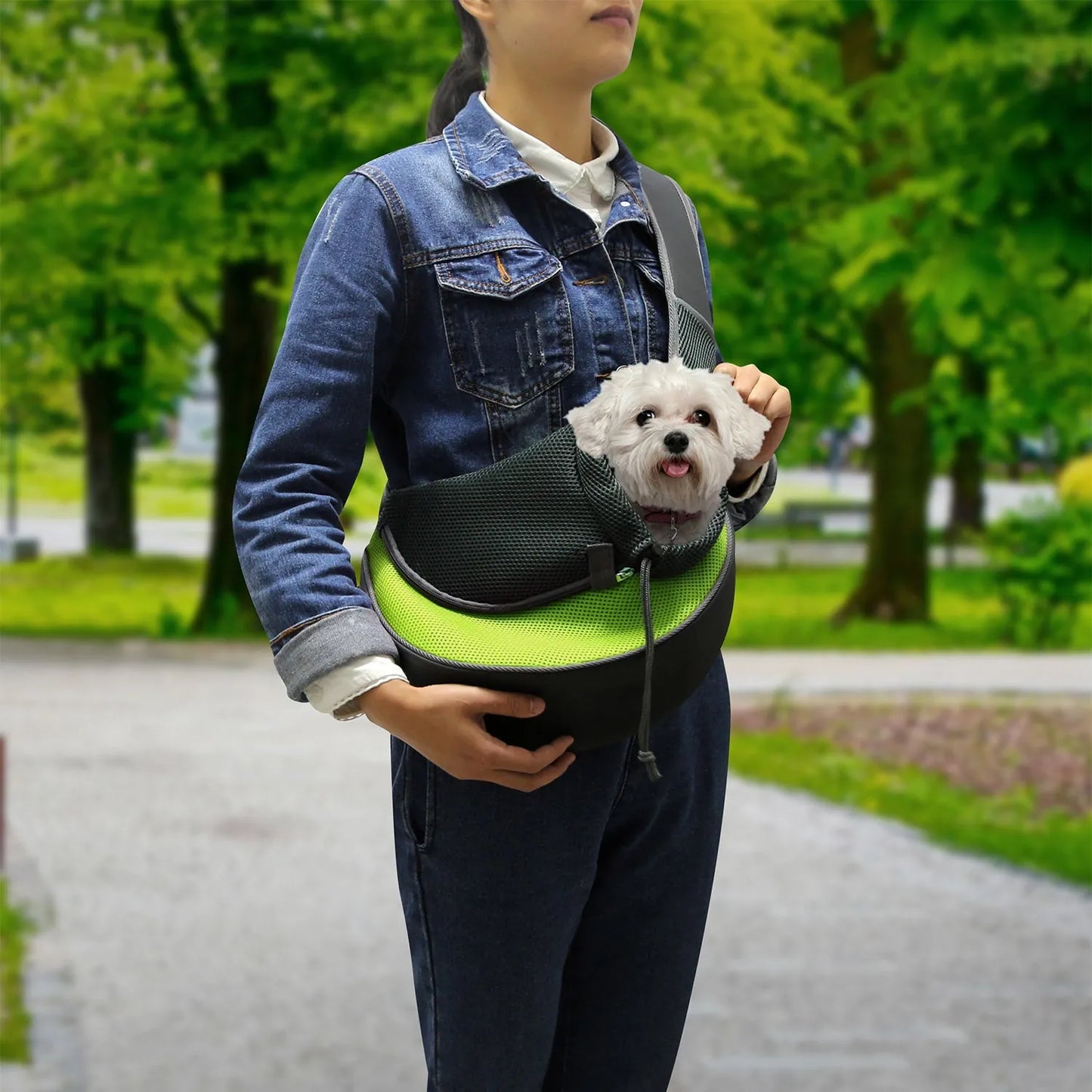 GBruno Store - GBruno Pet Carrier for Dogs Cats - Pet Carriers & Strollers