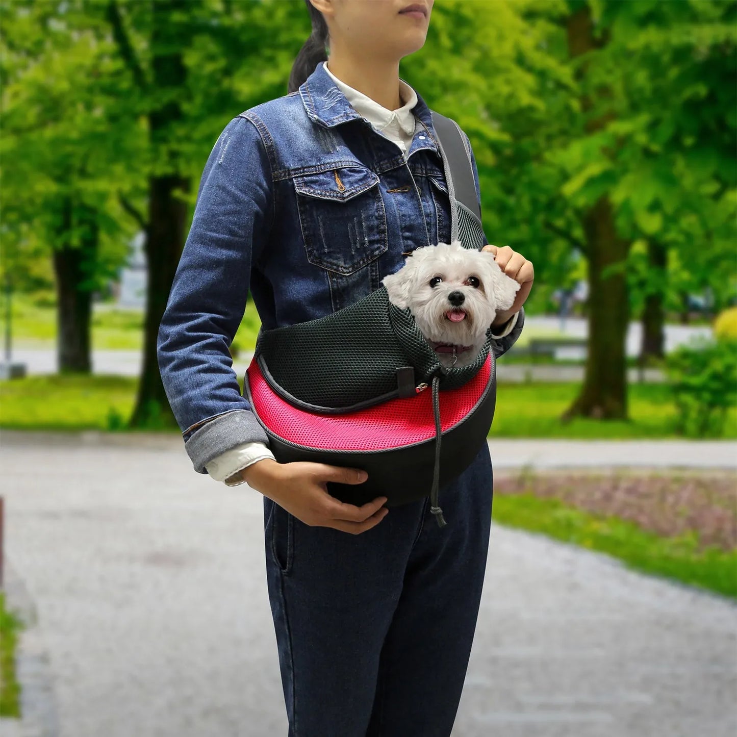 GBruno Store - GBruno Pet Carrier for Dogs Cats - Pet Carriers & Strollers