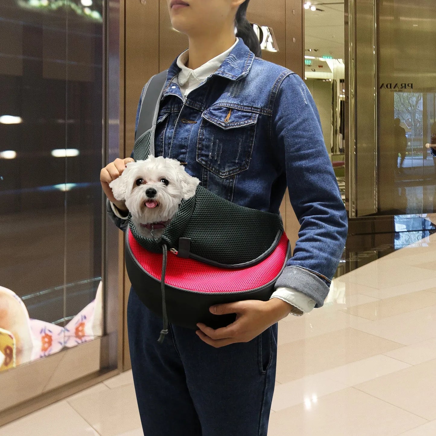 GBruno Store - GBruno Pet Carrier for Dogs Cats - Dog Supplies