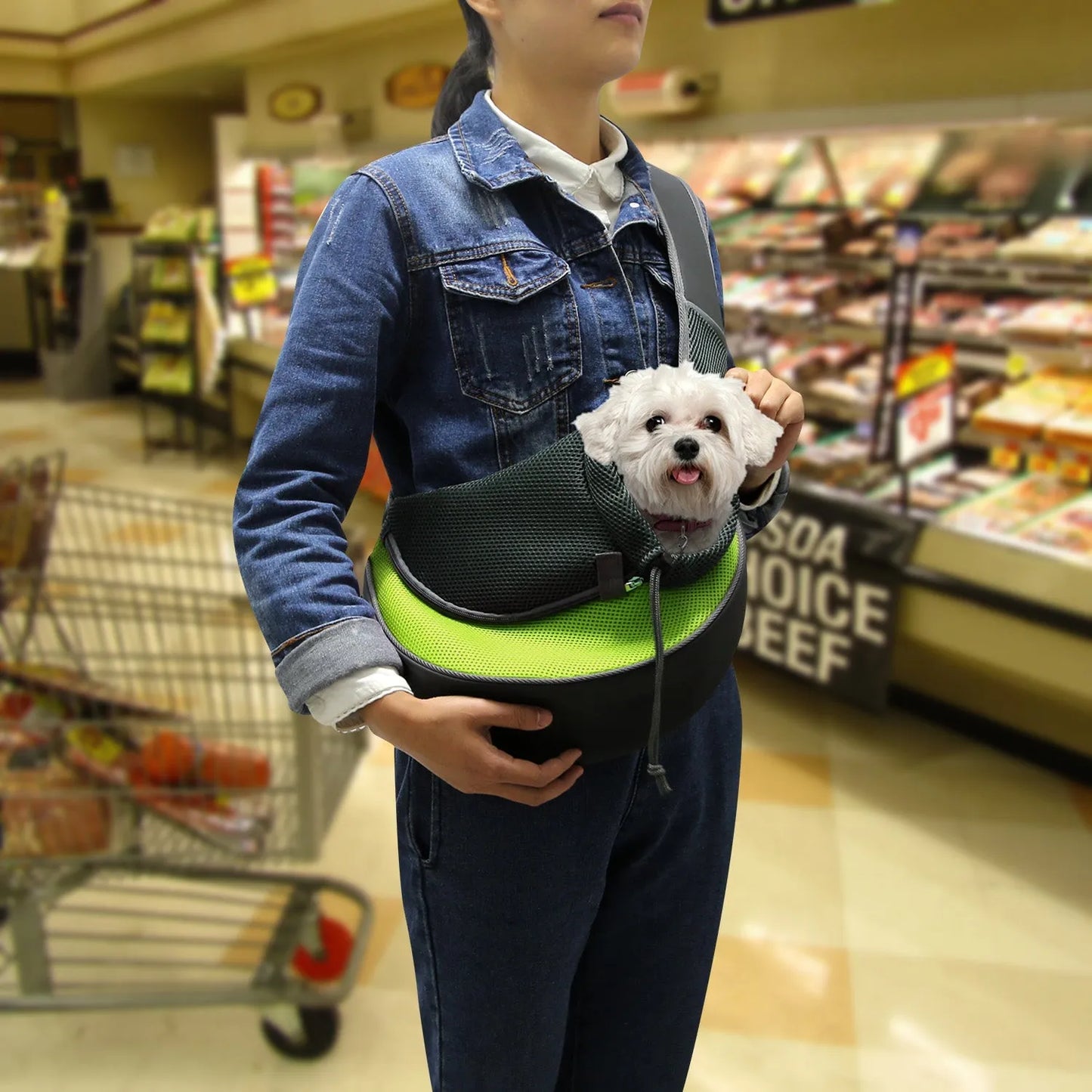 GBruno Store - GBruno Pet Carrier for Dogs Cats - Pet Carriers & Strollers