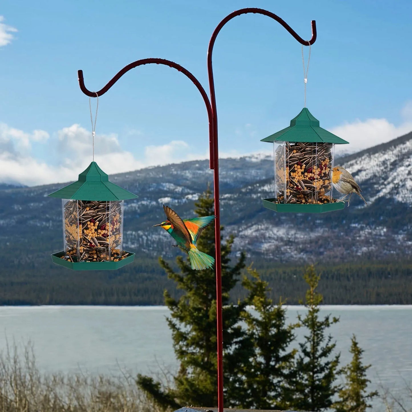 GBruno Store - Hanging Gazebo Wild Bird Feeder Outdoor Bird Seed Station with Large Capacity 6 Feeder Ports for Garden Pat...