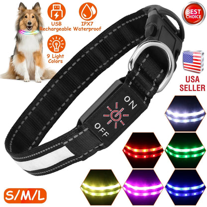 GBruno Store - Light Up Dog Collar LED Dog Collar Safety Night Glowing Dog