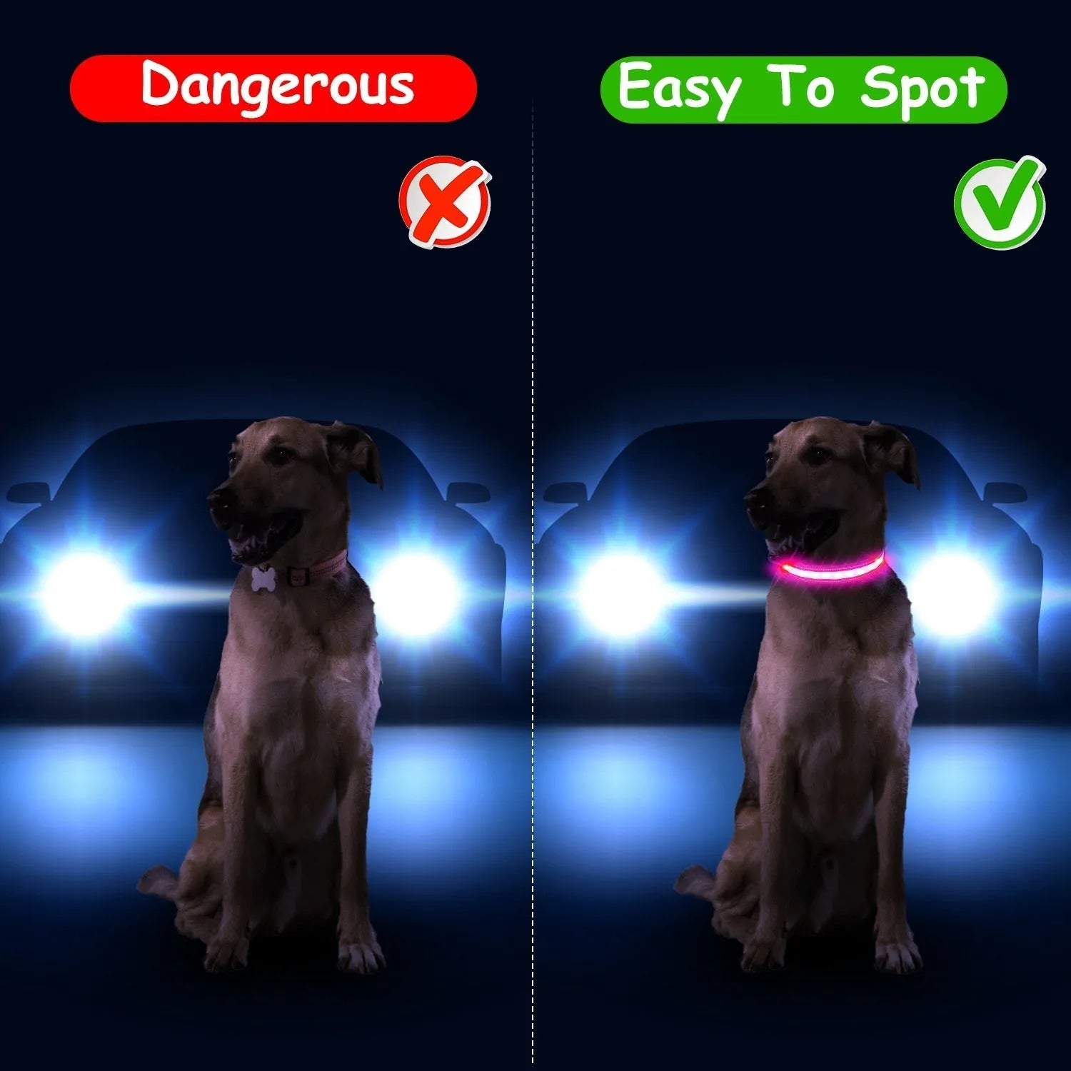 GBruno Store - Light Up Dog Collar LED Dog Collar Safety Night Glowing Dog