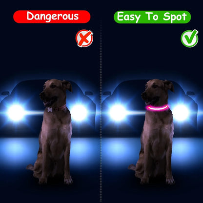 GBruno Store - Light Up Dog Collar LED Dog Collar Safety Night Glowing Dog