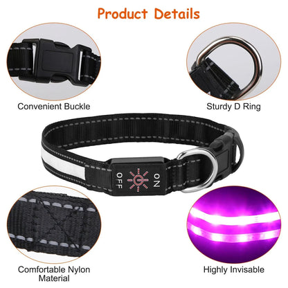 GBruno Store - Light Up Dog Collar LED Dog Collar Safety Night Glowing Dog