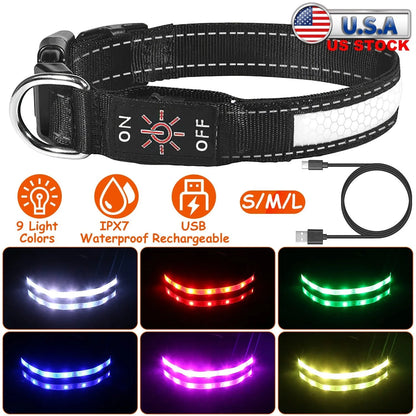 GBruno Store - Light Up Dog Collar LED Dog Collar Safety Night Glowing Dog