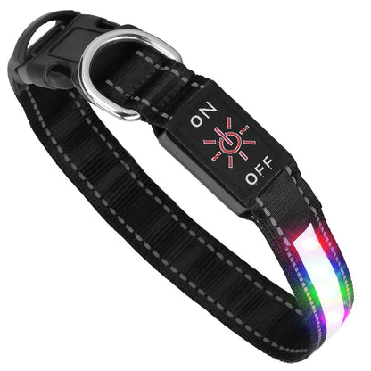 GBruno Store - Light Up Dog Collar LED Dog Collar Safety Night Glowing Dog