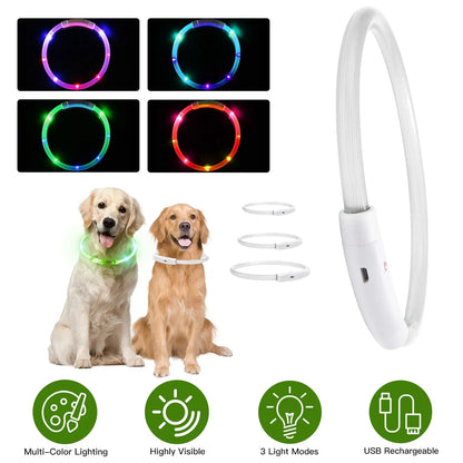 GBruno Store - USB Rechargeable LED Dog Collar Multi-Color Lighting Dog