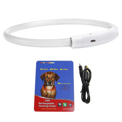GBruno Store - USB Rechargeable LED Dog Collar Multi-Color Lighting Dog