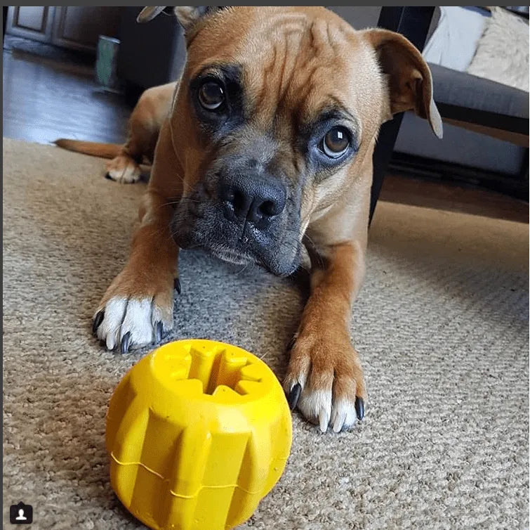 Durable Gear eDispenser chew holder by SodaPup in yellow, large size, perfect for treats and playtime for dogs.