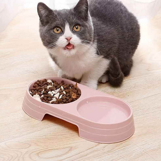 Gray and white cat next to pink dual pet feeding bowls with dry food and water