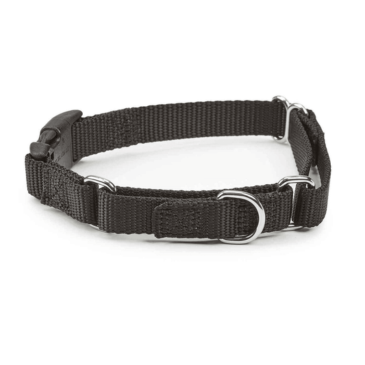 Black durable nylon dog collars with metal rings and adjustable buckle from Purrfect Pet Kingdom