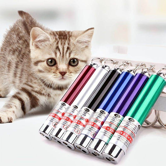 Purrfect Pet Kingdom Laser Pointer for Dogs and Cats Purple Purrfect Pet Kingdom