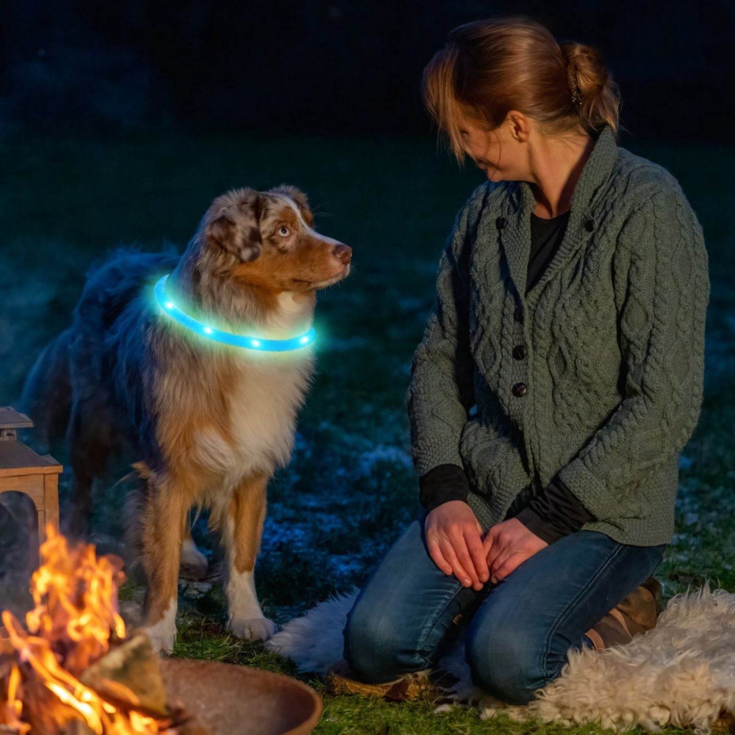 Purrfect Pet Kingdom Rechargeable LED Dog Collar Safety Gear USB Purrfect Pet Kingdom