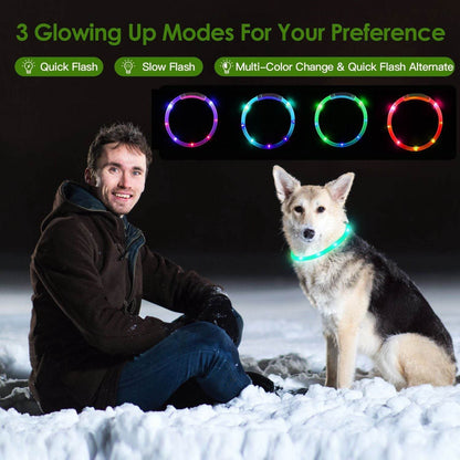 Purrfect Pet Kingdom Rechargeable LED Dog Collar Safety Gear USB Purrfect Pet Kingdom