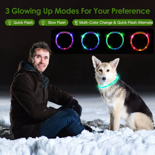 Purrfect Pet Kingdom Rechargeable LED Dog Collar Safety Gear USB Purrfect Pet Kingdom