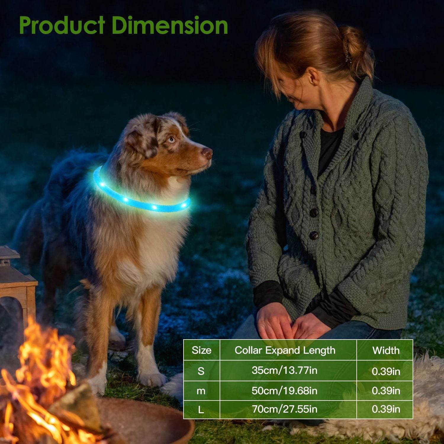 Purrfect Pet Kingdom Rechargeable LED Dog Collar Safety Gear USB Purrfect Pet Kingdom
