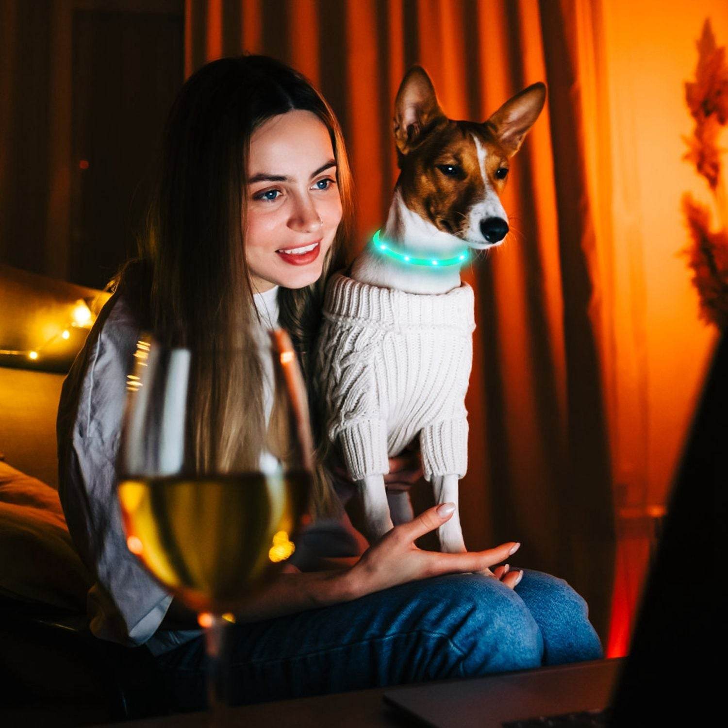 Purrfect Pet Kingdom Rechargeable LED Dog Collar Safety Gear USB Purrfect Pet Kingdom