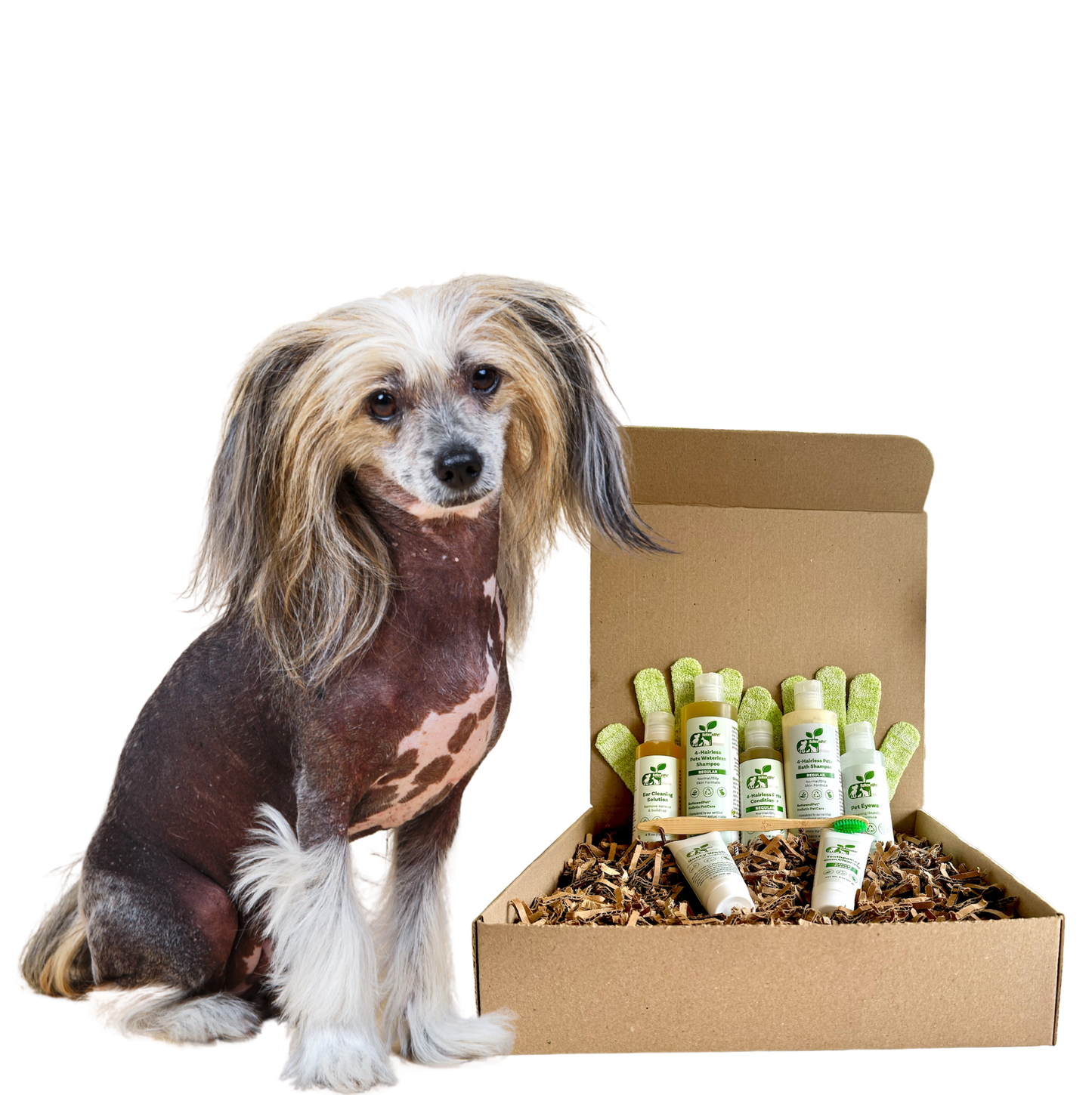 ReNewedPet gentle grooming products for dogs displayed with a happy pup for a healthy coat