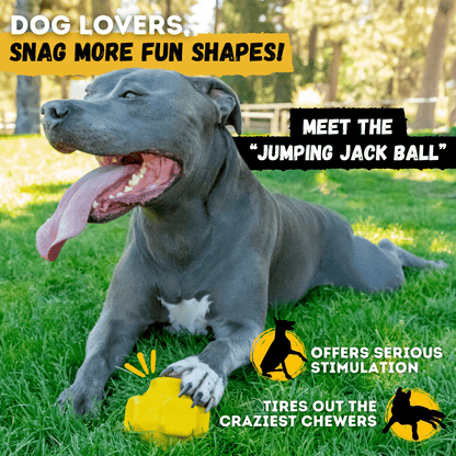 Monster K9 Giant Ring Ball Dog Toy 🎾