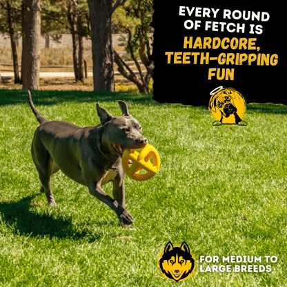 Monster K9 Giant Ring Ball Dog Toy 🎾