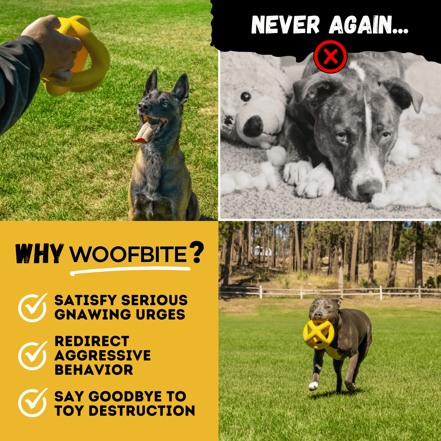 Monster K9 Giant Ring Ball Dog Toy 🎾