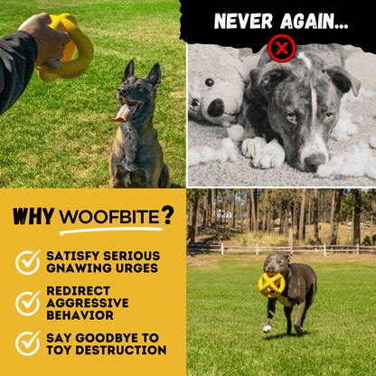 Monster K9 Giant Ring Ball Dog Toy 🎾