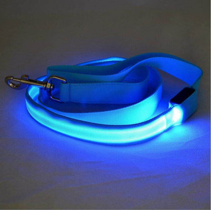 Purrfect Pet Kingdom Glow in the Dark Leash for Pets Blue Rechargeable-Usb Purrfect Pet Kingdom