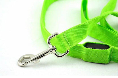 Purrfect Pet Kingdom Glow in the Dark Leash for Pets Purrfect Pet Kingdom