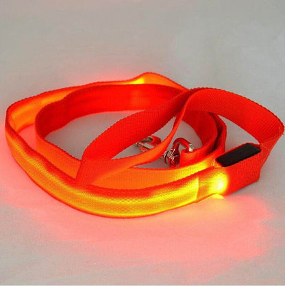 Purrfect Pet Kingdom Glow in the Dark Leash for Pets Purrfect Pet Kingdom
