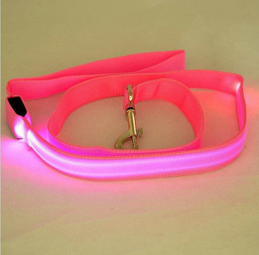 Purrfect Pet Kingdom Glow in the Dark Leash for Pets Pink Battery-Usb Purrfect Pet Kingdom