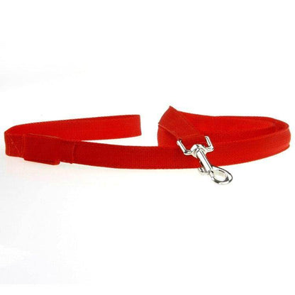 Purrfect Pet Kingdom Glow in the Dark Leash for Pets Purrfect Pet Kingdom